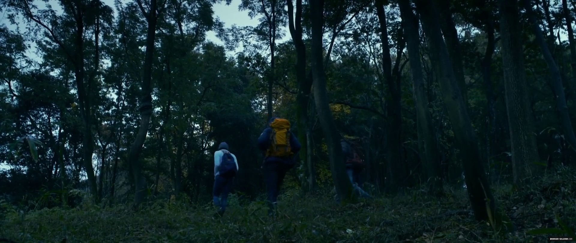 0882.jpg