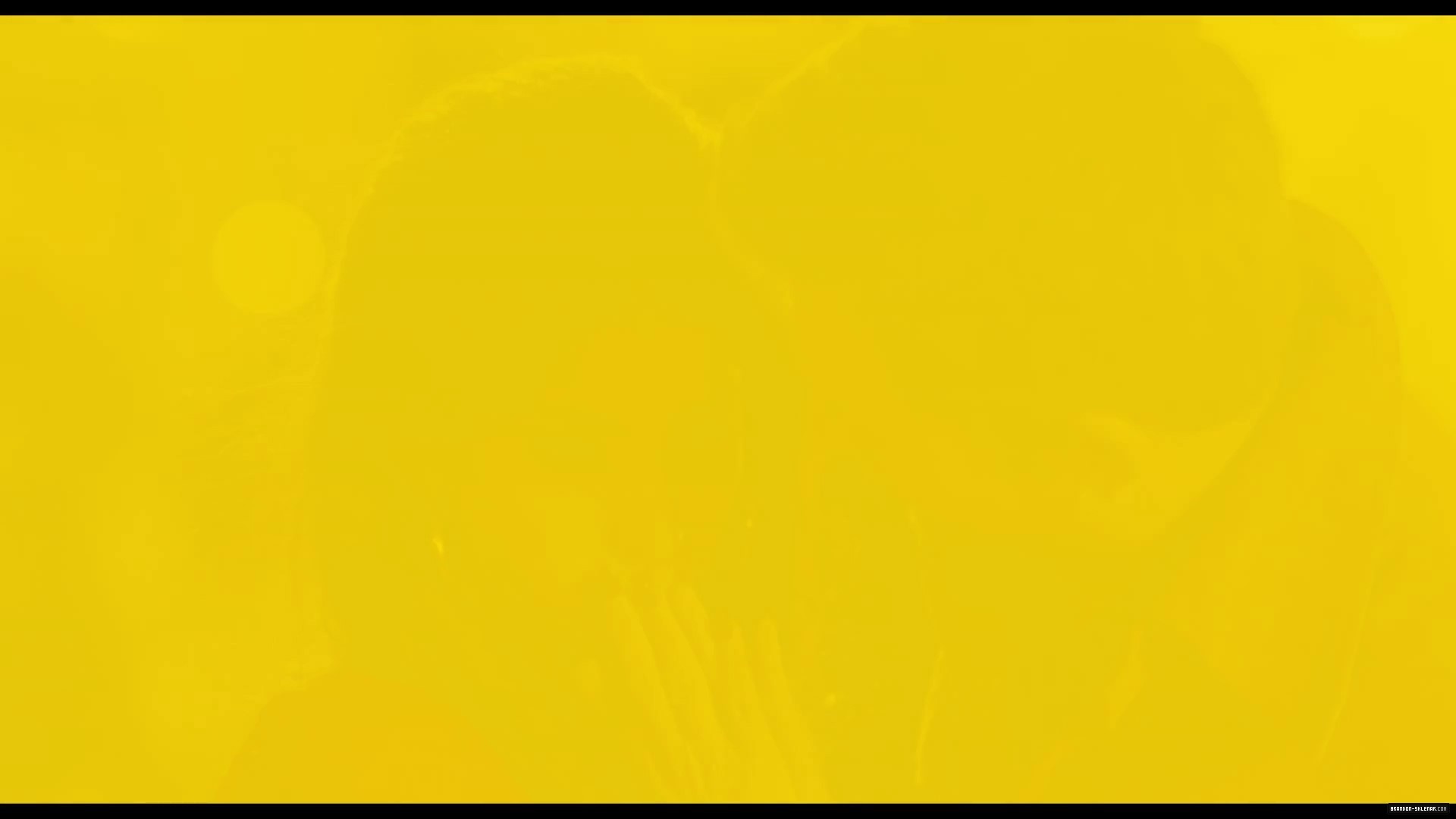 1199.jpg