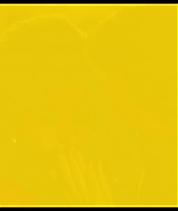 1199.jpg