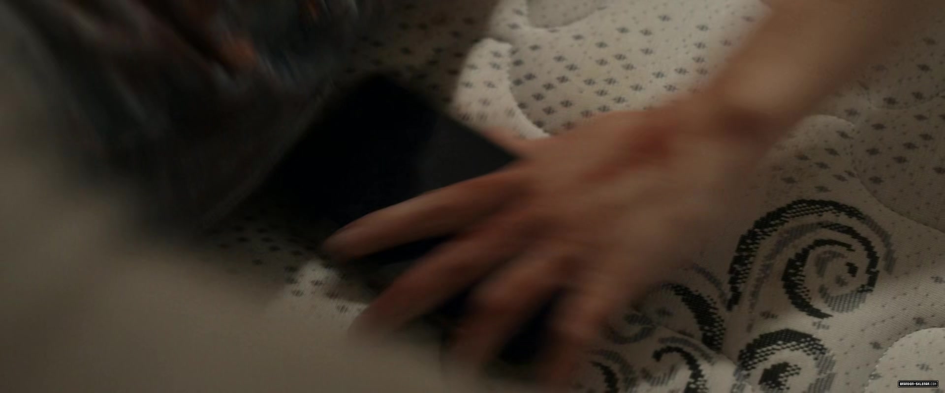 4371.jpg