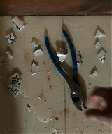 4676.jpg