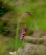 160.jpg