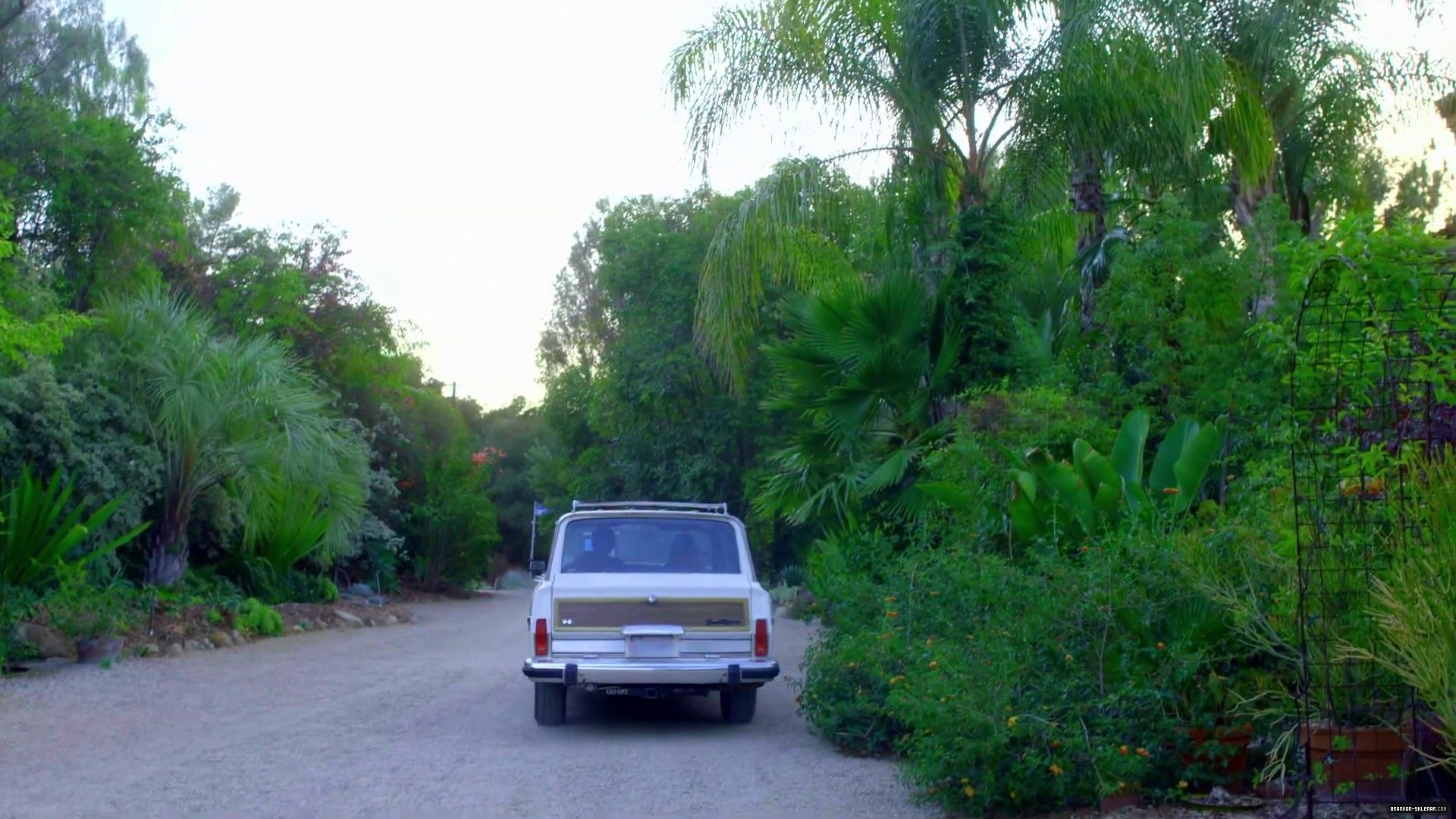 538.jpg