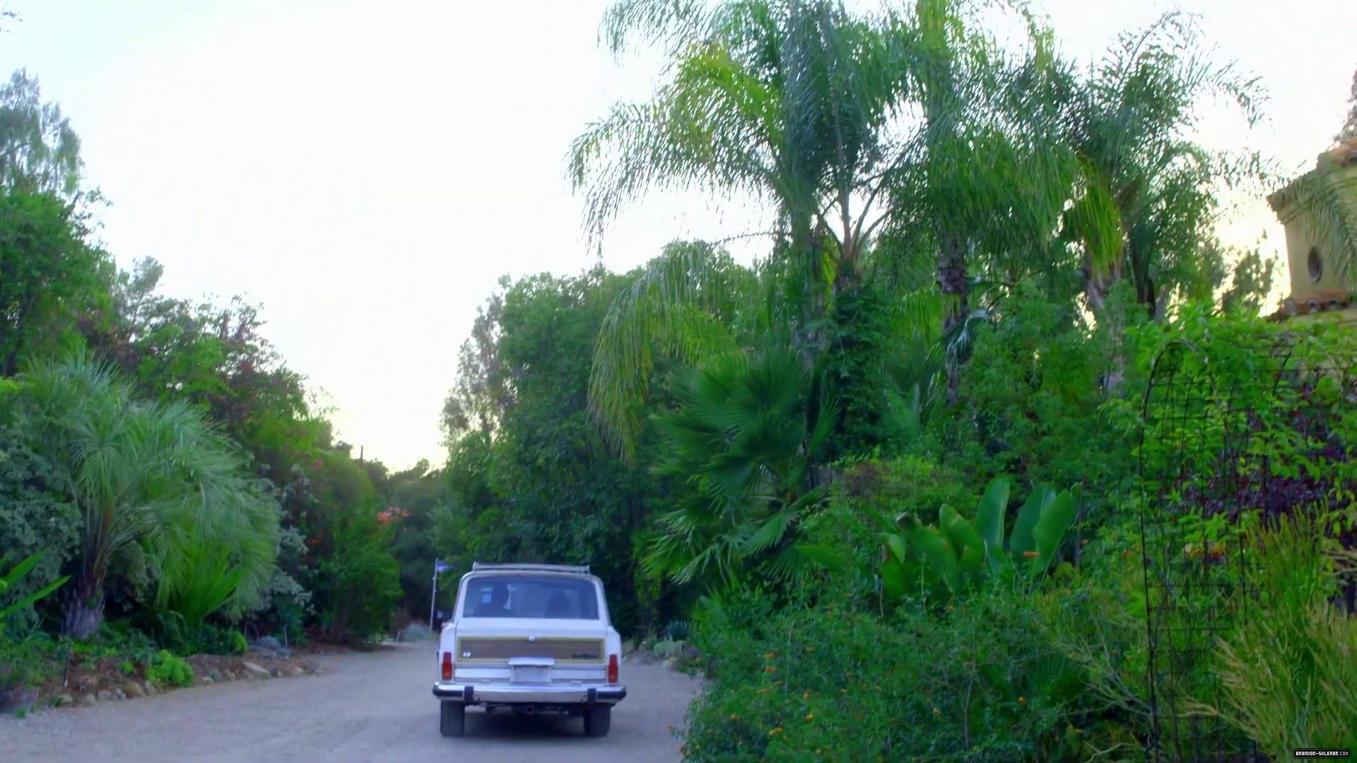 539.jpg
