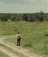 739.jpg