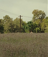 0006.jpg