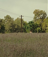 0008.jpg